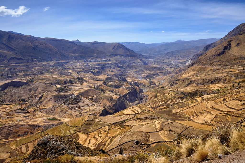 Colca - Arequipa